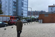 Queda de árvore nos Olivais