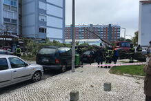 Queda de árvore nos Olivais