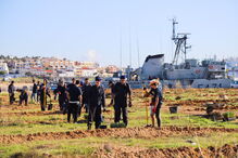 1300 árvores autóctones plantadas junto ao Arade em Portimão