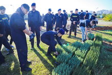 1300 árvores autóctones plantadas junto ao Arade em Portimão