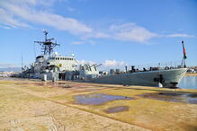 1300 árvores autóctones plantadas junto ao Arade em Portimão