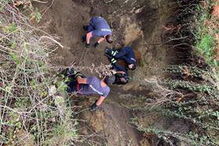 Bombeiro ferido em resgate de vaca em Arcos de Valdevez