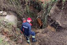 Bombeiro ferido em resgate de vaca em Arcos de Valdevez