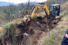 Bombeiros salvam vaca