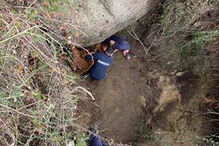 Bombeiros salvam vaca