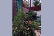 Camião despista-se em Elvas