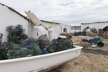 Demolições terminam na ilha da Culatra
