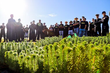 1300 árvores autóctones plantadas junto ao Arade em Portimão