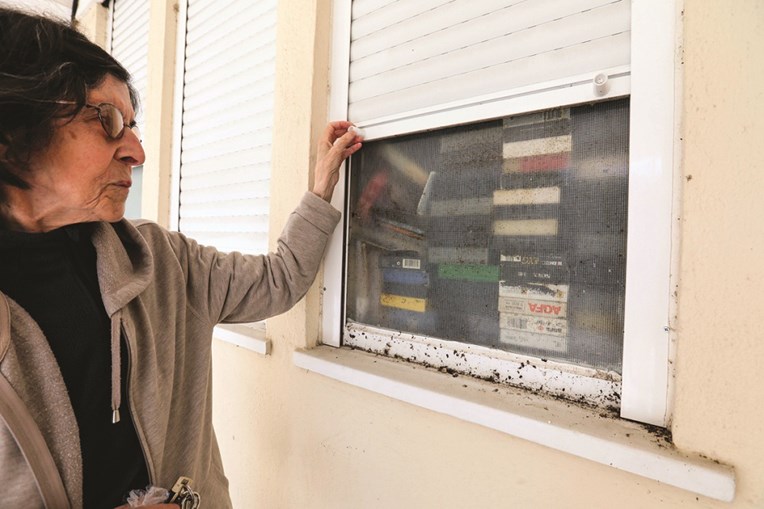Rosa Martins, de 82 anos, viu a sua habitação ser invadida por uma praga de baratas desde agosto