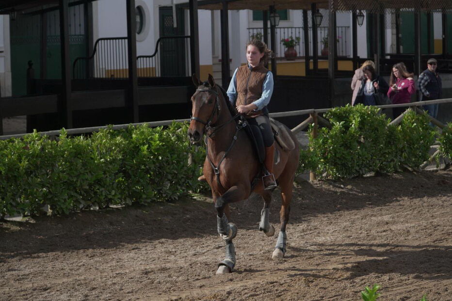 Feira Nacional do Cavalo, na Golegã