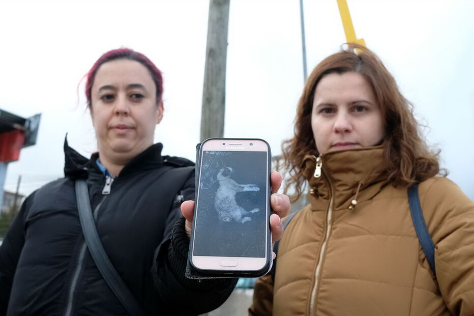 Andreia Lopes encontrou o gato por acaso. Marisa Paulo (esq.), da Qoasmi