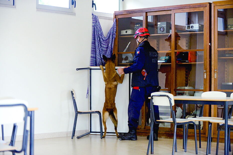 Alunos e profissionais aderem a iniciativa 