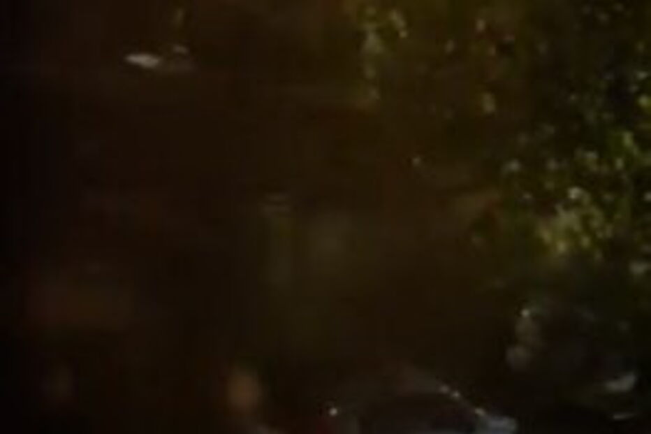 Mau tempo em Braga causa inundações e quedas de árvores