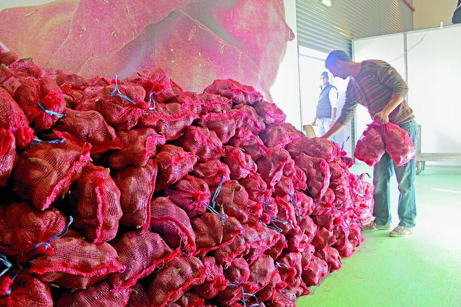 Batata-doce para todos os gostos em festival de Aljezur