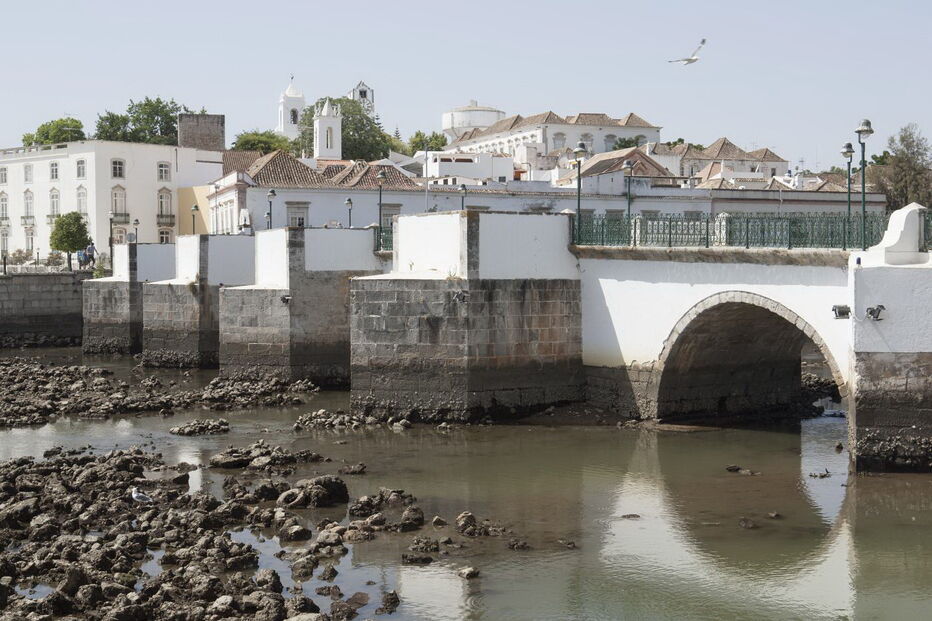 Intervenção permite que o rio fique com as cotas de fundo necessárias para garantir as condições de navegabilidade   