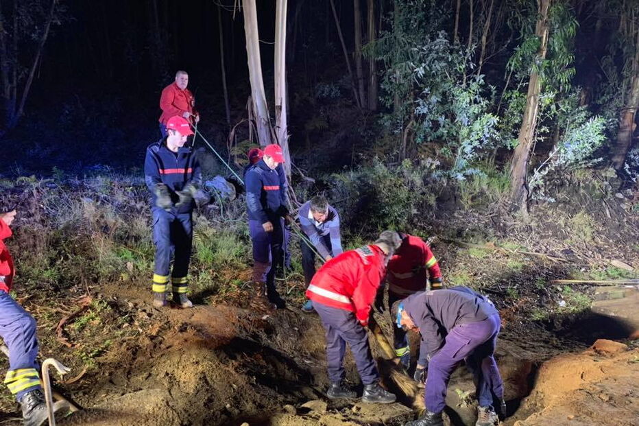 Cavalo resgatado de aqueduto em Arcos de Valdevez