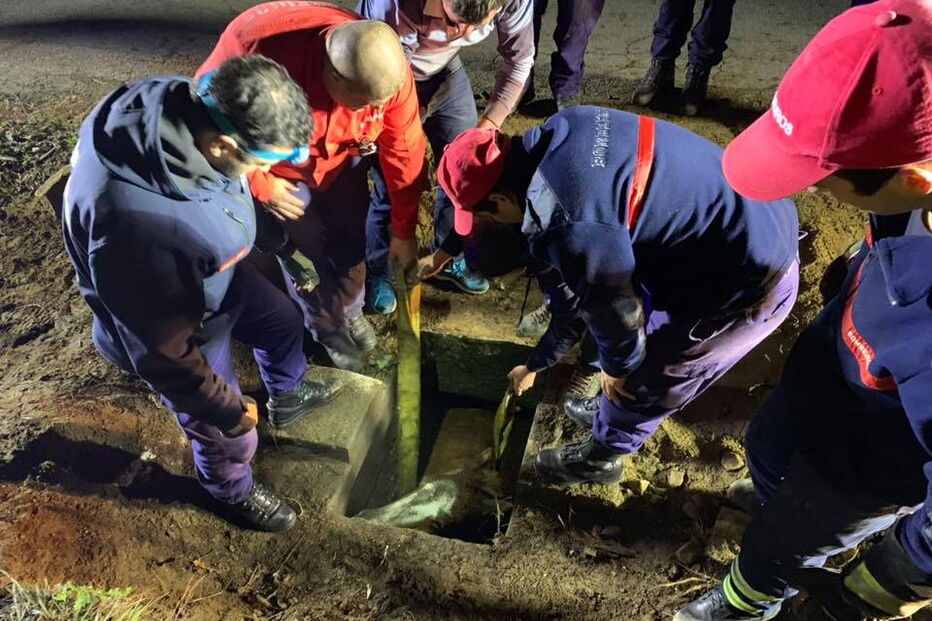 Cavalo resgatado de aqueduto em Arcos de Valdevez