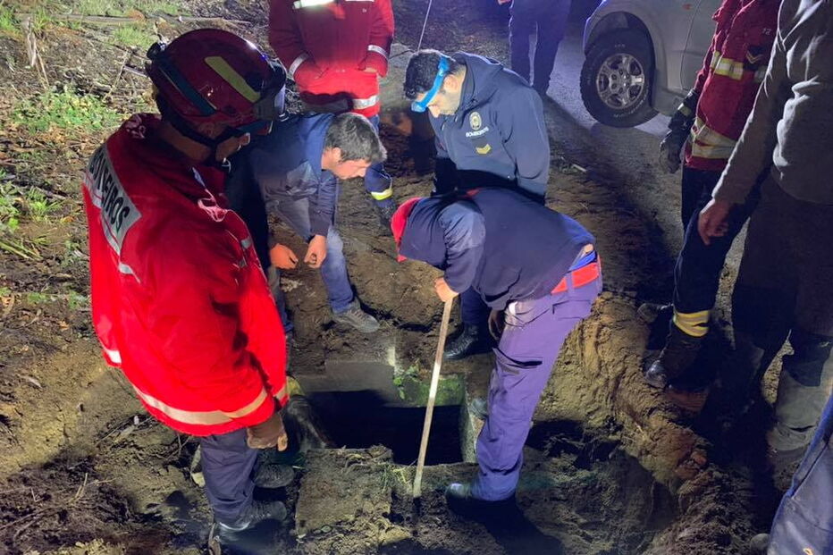 Cavalo resgatado de aqueduto em Arcos de Valdevez