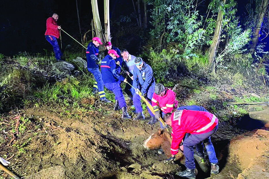 Resgate foi feito ao fim de mais de três horas de trabalho