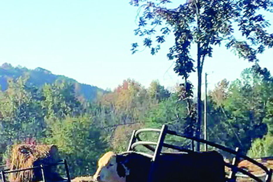 2018-11-12_00_29_04 Imagem 29d.jpg