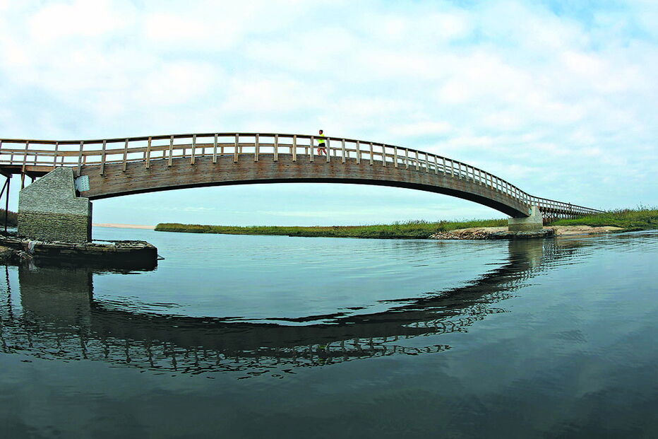 Passadiços da Barrinha têm oito quilómetros e mostram tesouro natural da região de Esmoriz