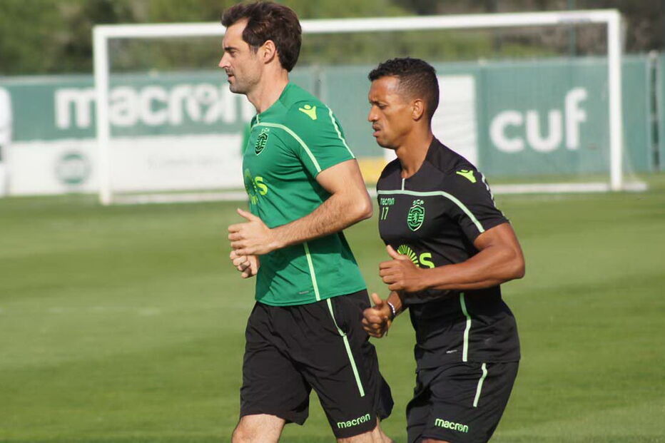 2018-11-15_13_35_04 DSC02146.JPG