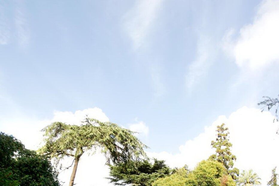 Agressão violenta ocorreu nos jardins da Cordoaria, no Porto