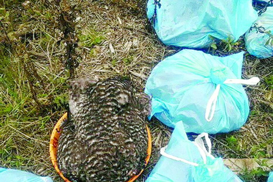 População suspeita de bruxaria