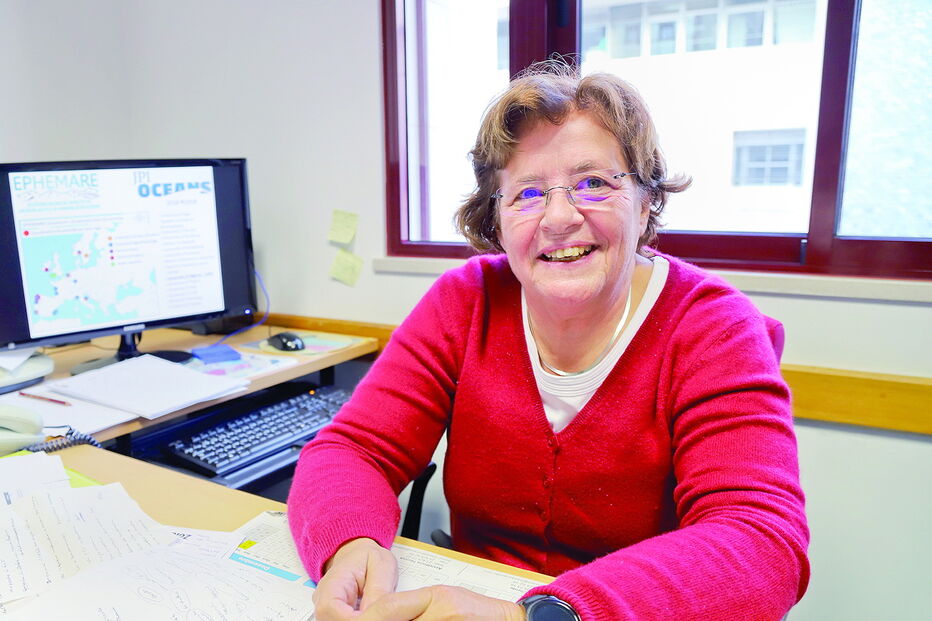 Investigação feita pelo CIMA, centro coordenado por Maria João Bebianno   