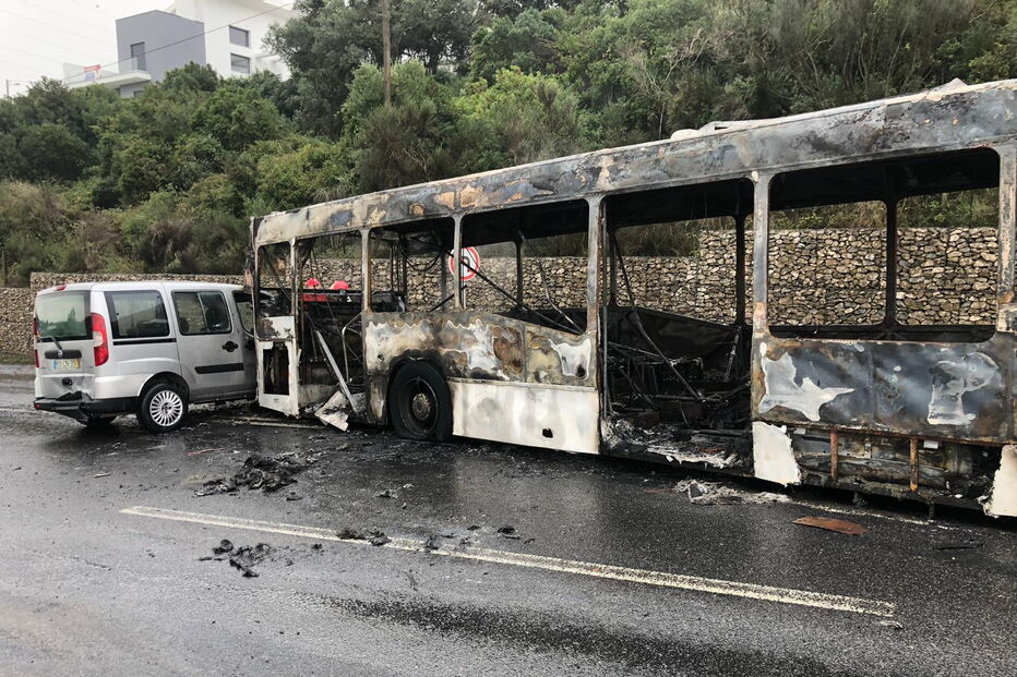 2018-11-19_09_36_30 fe1b459c-5b09-426b-baab-26c31b67d10c.jpg