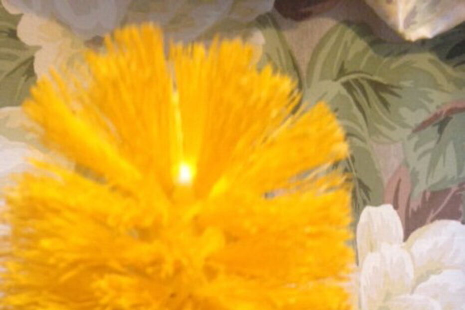 Piaçaba inspirado em Donald Trump