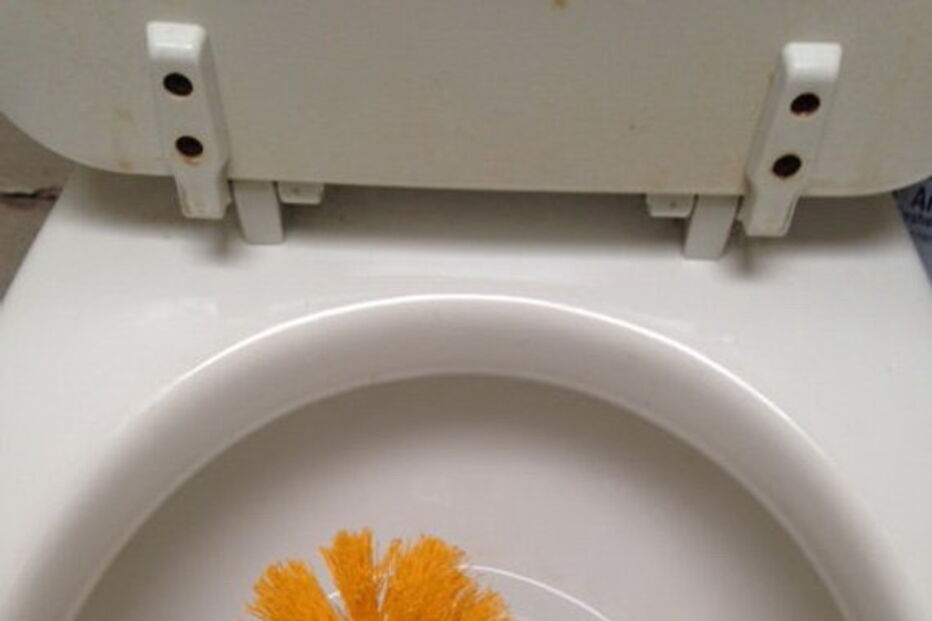 Piaçaba inspirado em Donald Trump