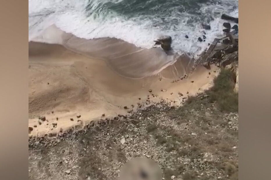 Paraquedista salta de arriba e morre na Nazaré	