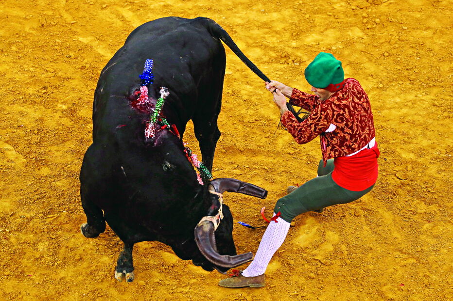 São 29 os municípios com contratos públicos, quase todos por ajuste direto, que financiam a tauromaquia