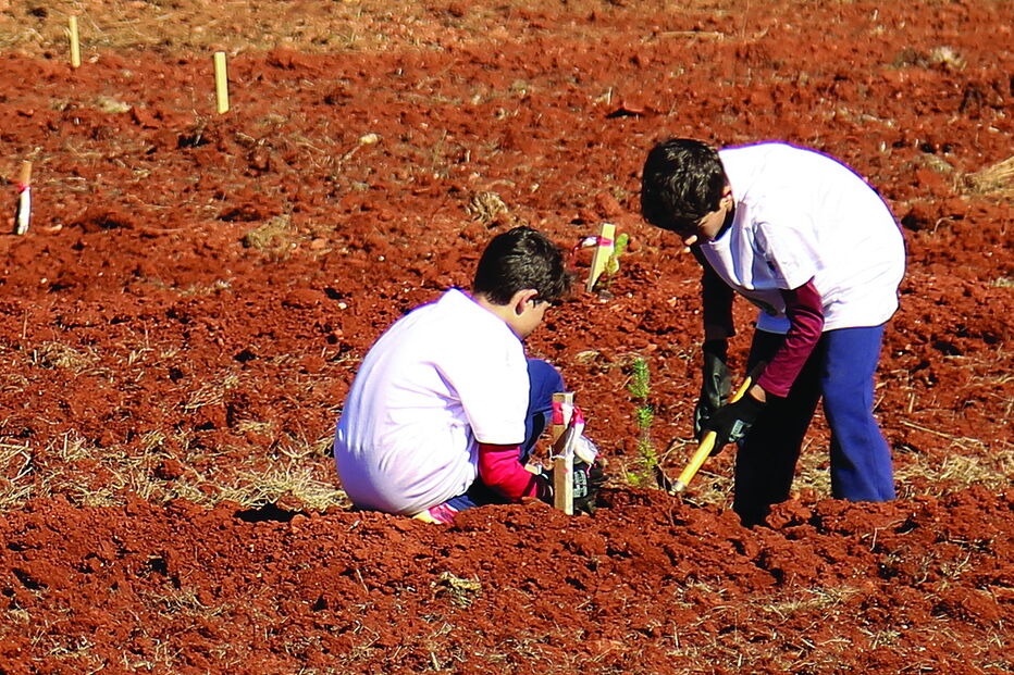Ação de plantação conta com a participação de alunos das escolas, trabalhadores municipais e outros voluntários