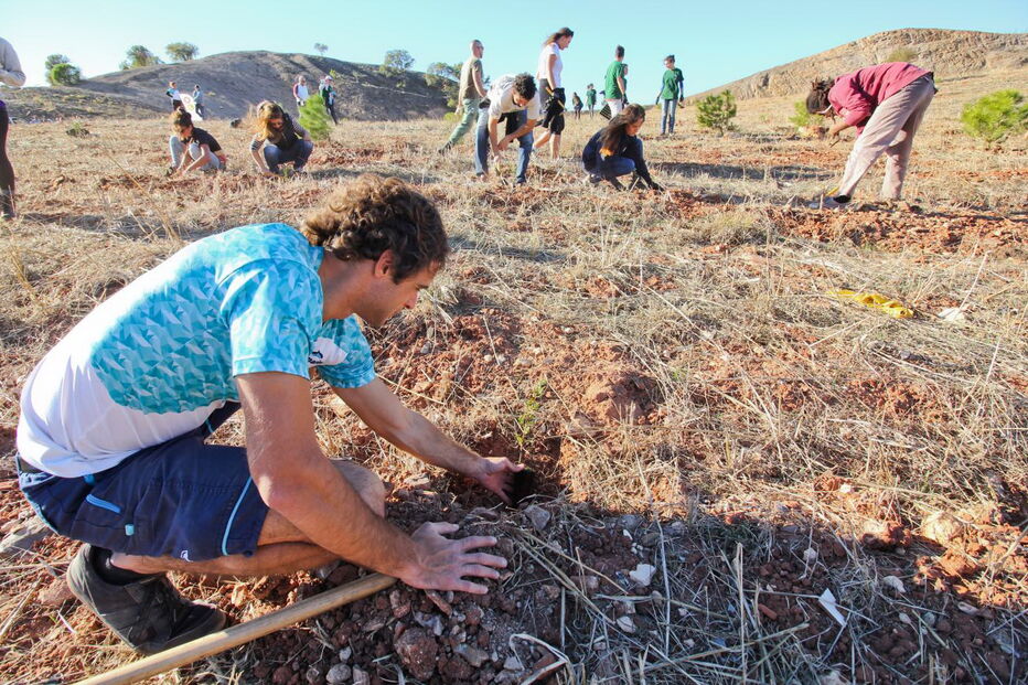 Ação de plantação conta com a participação de alunos das escolas, trabalhadores municipais e outros voluntários