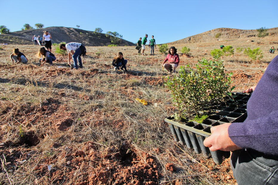 Ação de plantação conta com a participação de alunos das escolas, trabalhadores municipais e outros voluntários