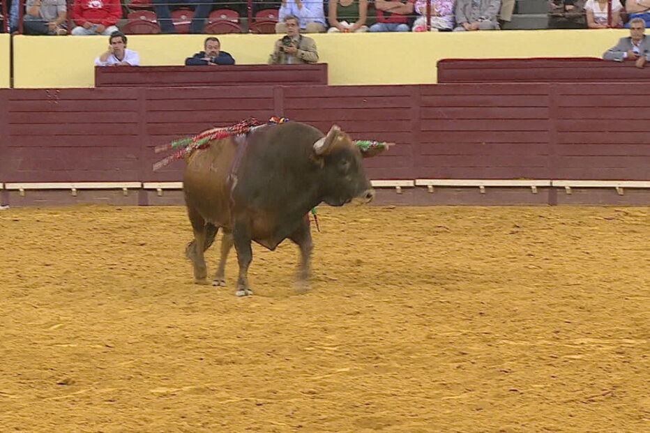 Autarquias, touradas, Função Pública