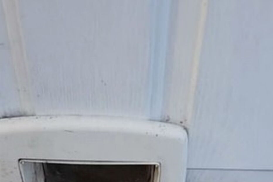 Cão recusa receber notificação postal