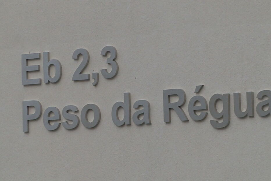 Rosa nasceu na casa de banho da escola de Peso da Régua