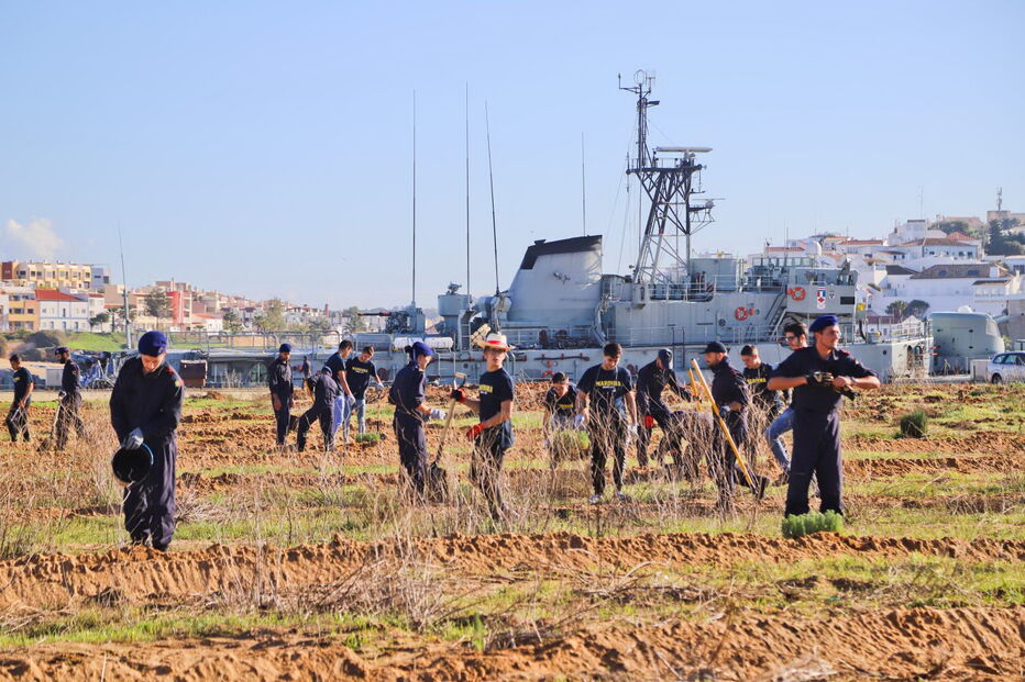 1300 árvores autóctones plantadas junto ao Arade em Portimão