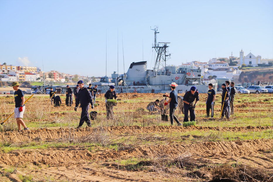 1300 árvores autóctones plantadas junto ao Arade em Portimão