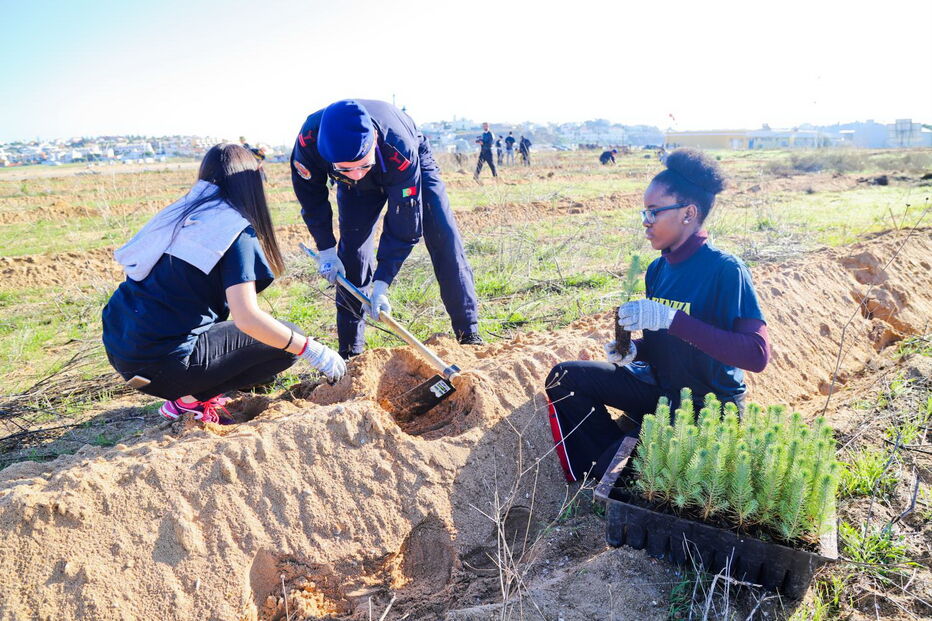 1300 árvores autóctones plantadas junto ao Arade em Portimão