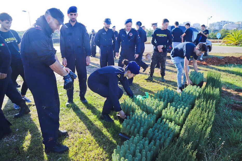 1300 árvores autóctones plantadas junto ao Arade em Portimão