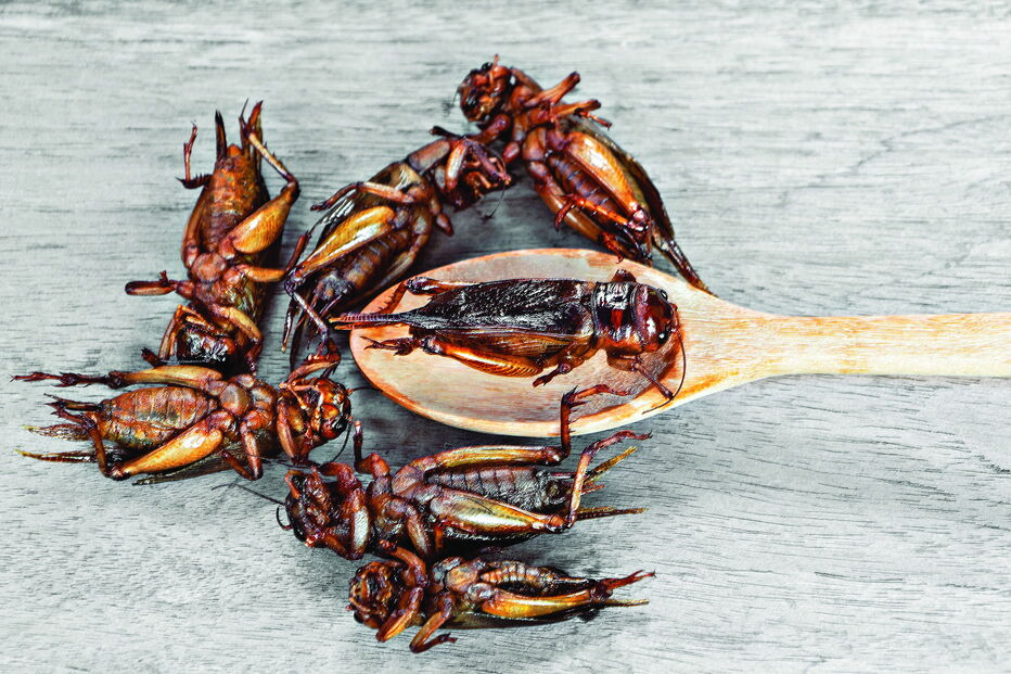 2018-11-24_19_58_12 Imagem iStock-947659798.jpg