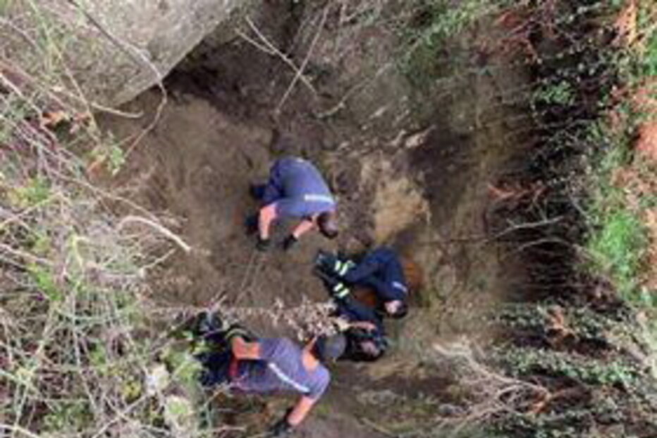 Bombeiro ferido em resgate de vaca em Arcos de Valdevez