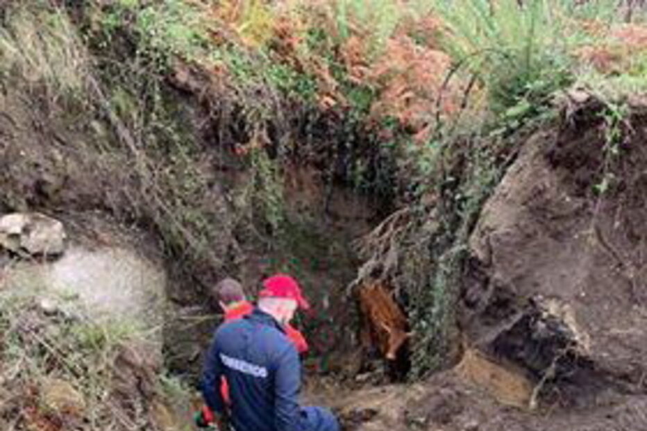 Bombeiro ferido em resgate de vaca em Arcos de Valdevez