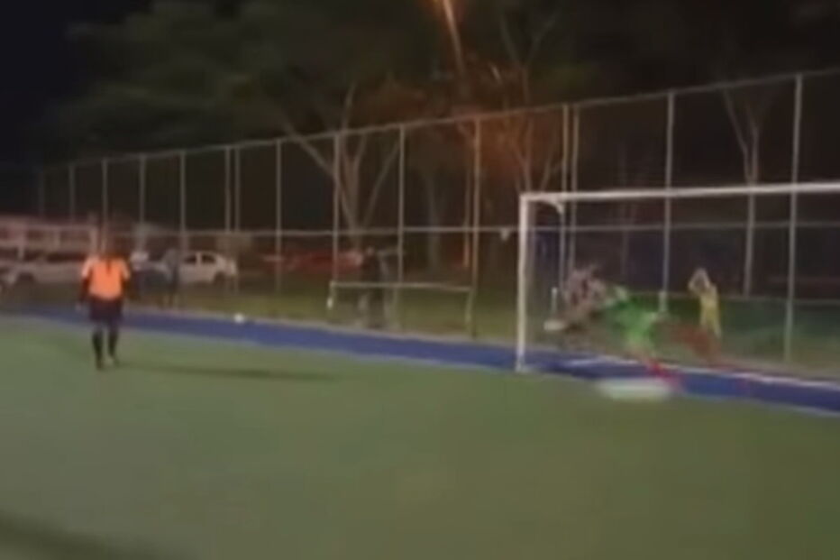 Cão guarda-redes defende penálti 