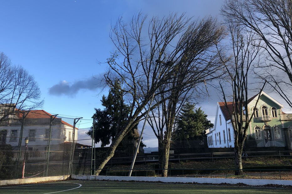 Noite de mau tempo em Vila Real provoca estragos
