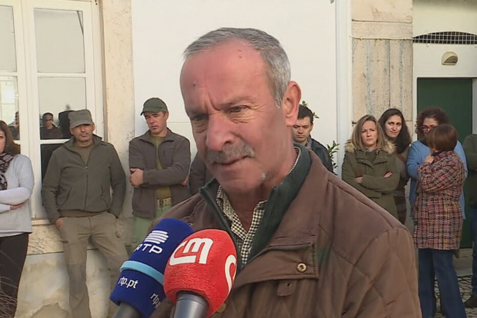 António Anselmo, Presidente da Câmara de Borba